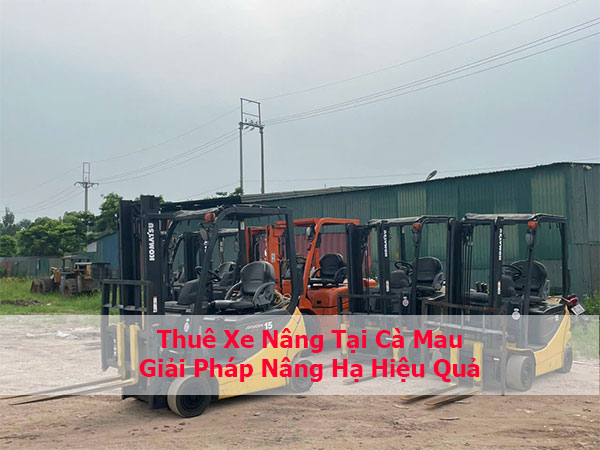 Thuê Xe Nâng Tại Cà Mau: Giải Pháp Nâng Hạ Hiệu Quả