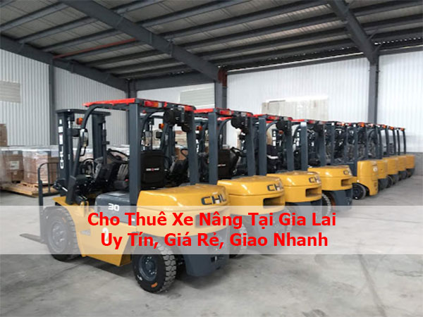 Cho Thuê Xe Nâng Tại Gia Lai | Uy Tín, Giá Rẻ, Giao Nhanh