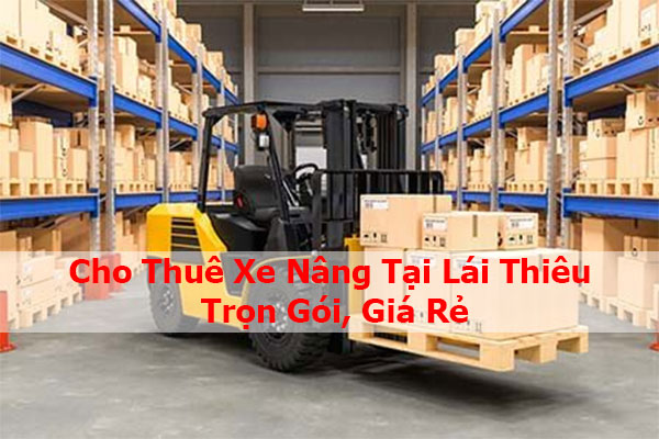 Cho Thuê Xe Nâng Tại Lái Thiêu Trọn Gói, Giá Rẻ