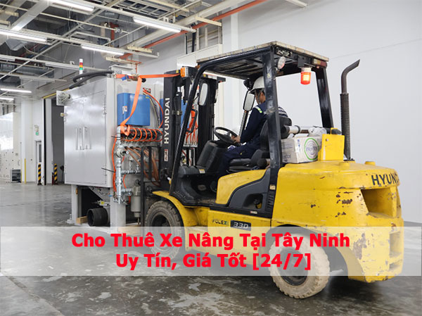 Cho Thuê Xe Nâng Tại Tây Ninh - Uy Tín, Giá Tốt [24/7]
